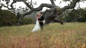 Holman tree kiss